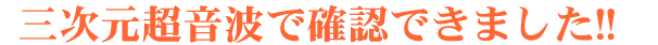 �R�c�@�O���������g